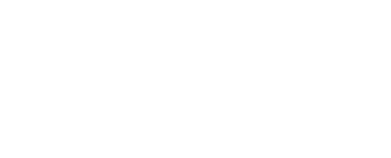 Synopsys